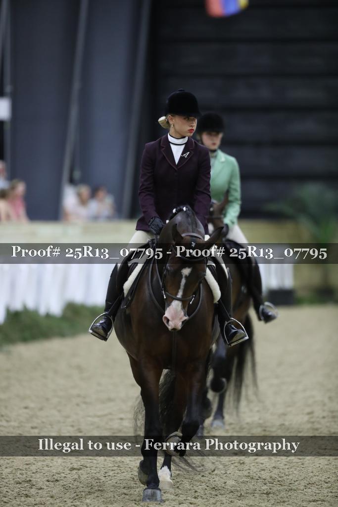 Proof 25R13_07795
