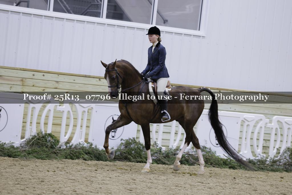Proof 25R13_07796