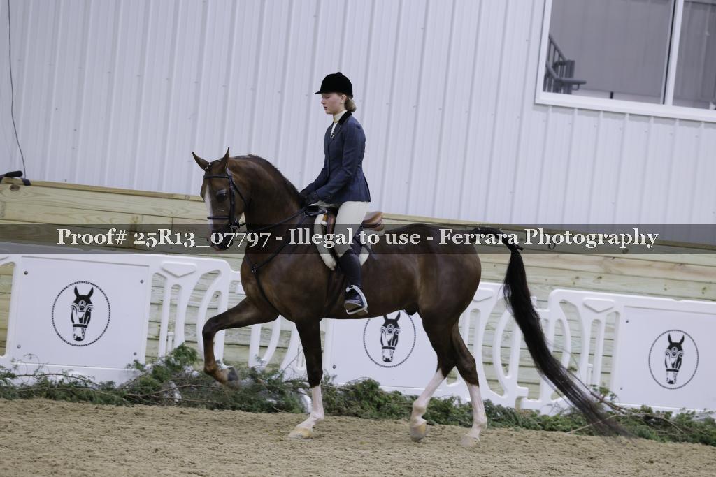 Proof 25R13_07797