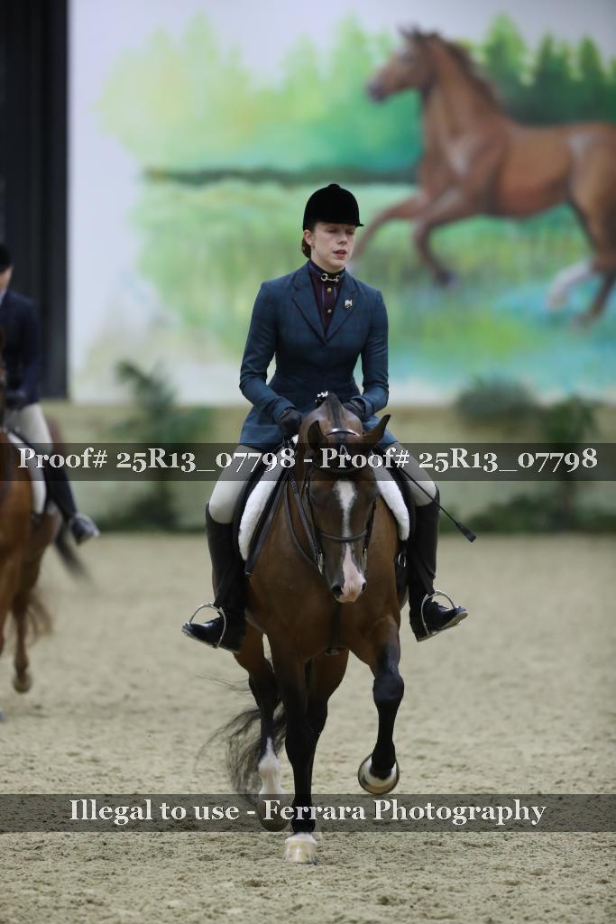 Proof 25R13_07798