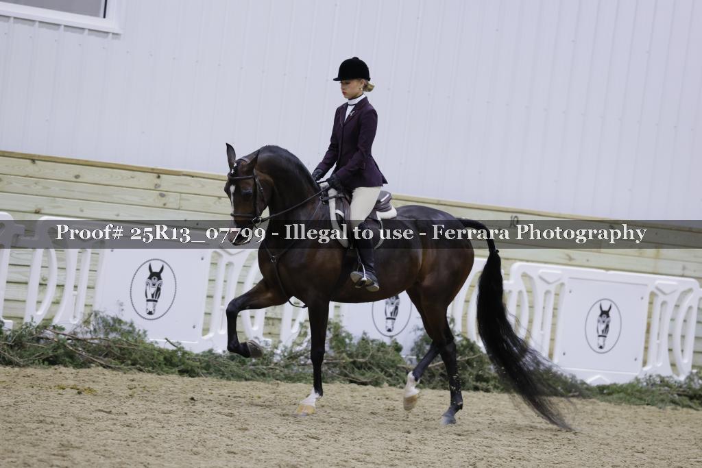 Proof 25R13_07799