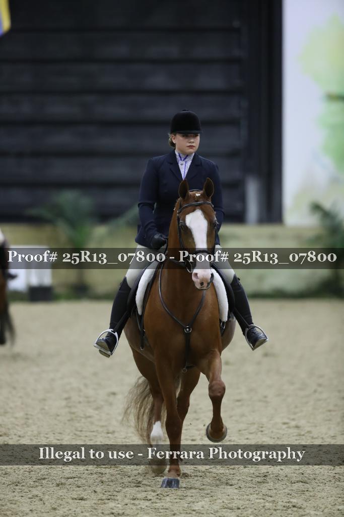 Proof 25R13_07800