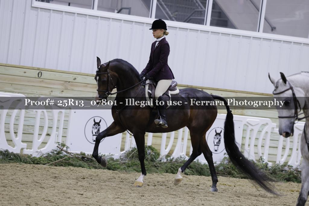 Proof 25R13_07801