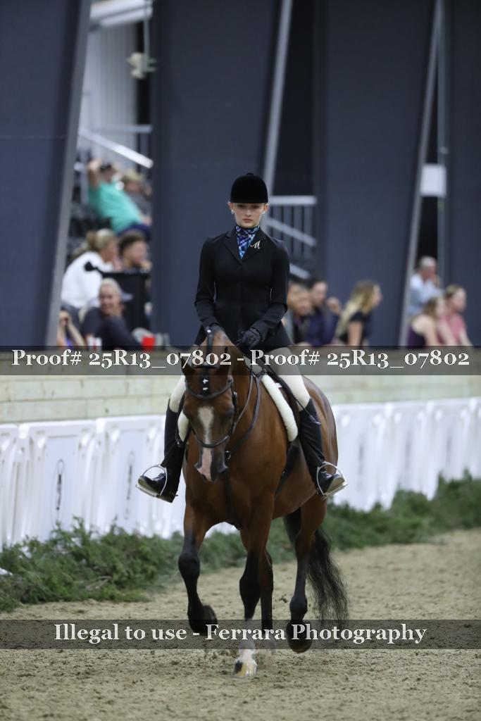 Proof 25R13_07802