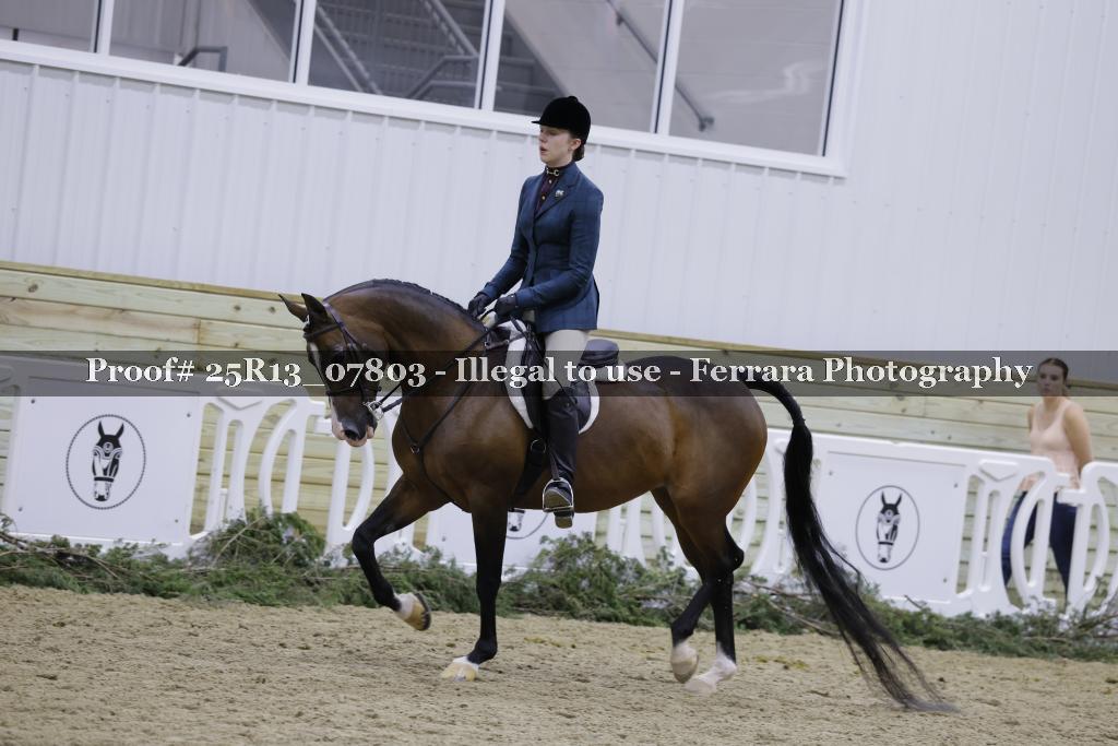 Proof 25R13_07803