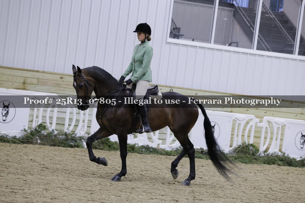 Proof 25R13_07805