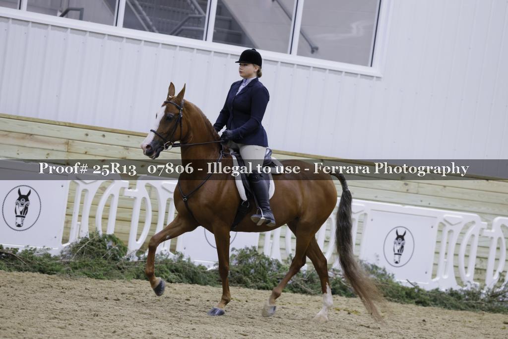 Proof 25R13_07806