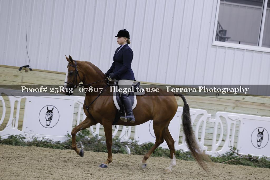 Proof 25R13_07807