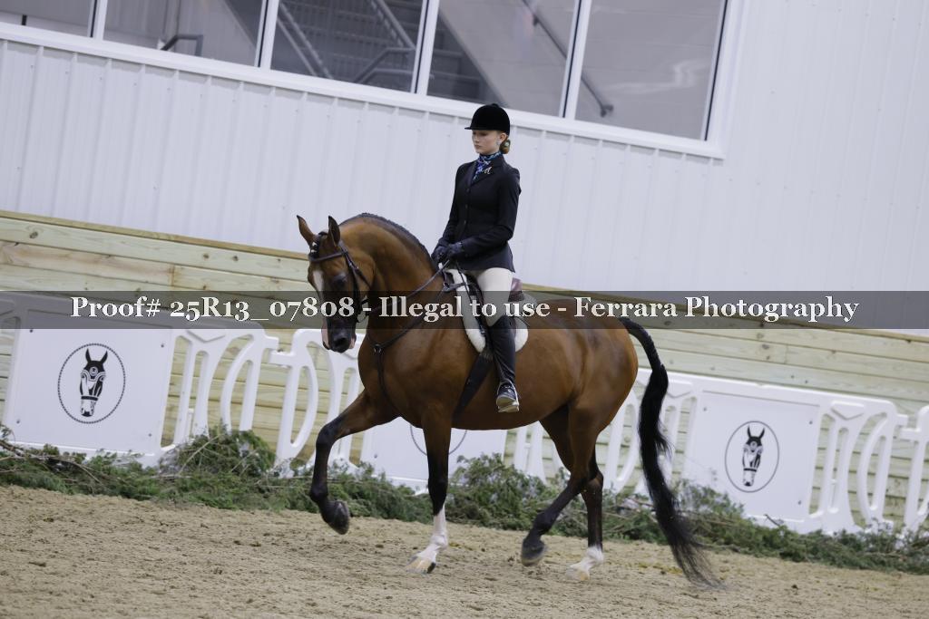 Proof 25R13_07808