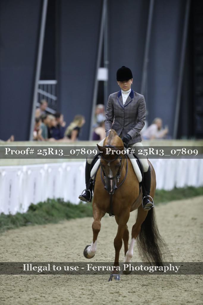 Proof 25R13_07809