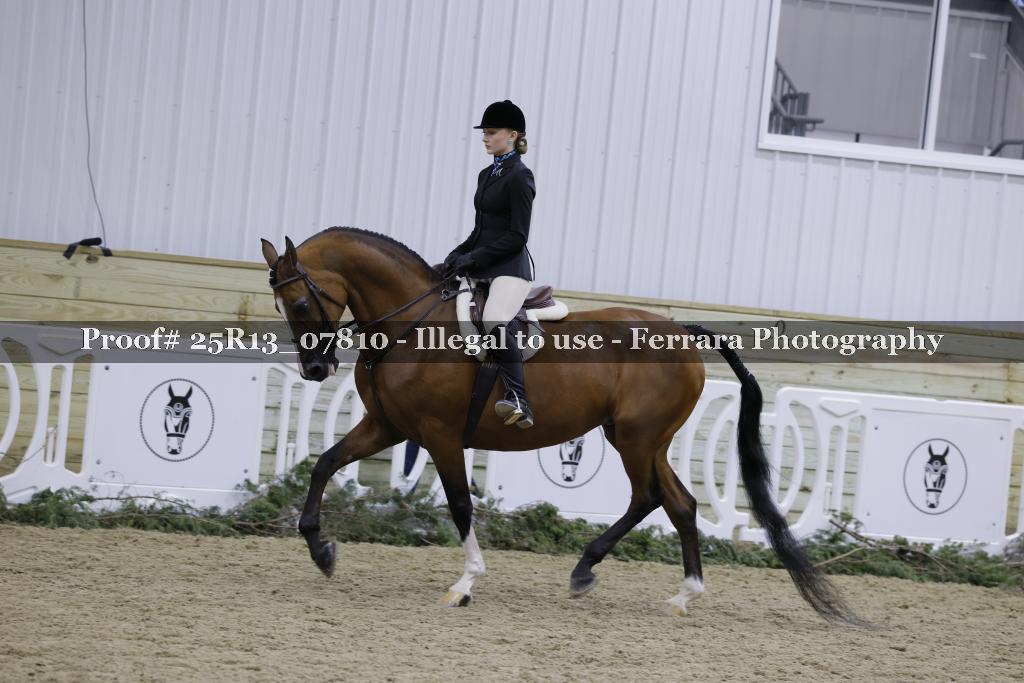 Proof 25R13_07810