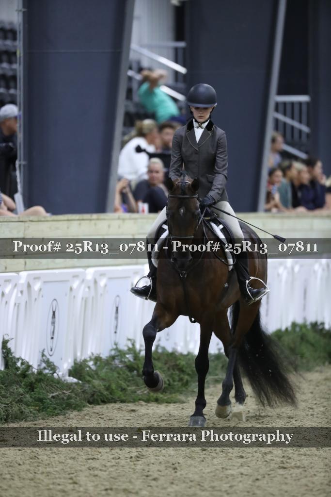 Proof 25R13_07811