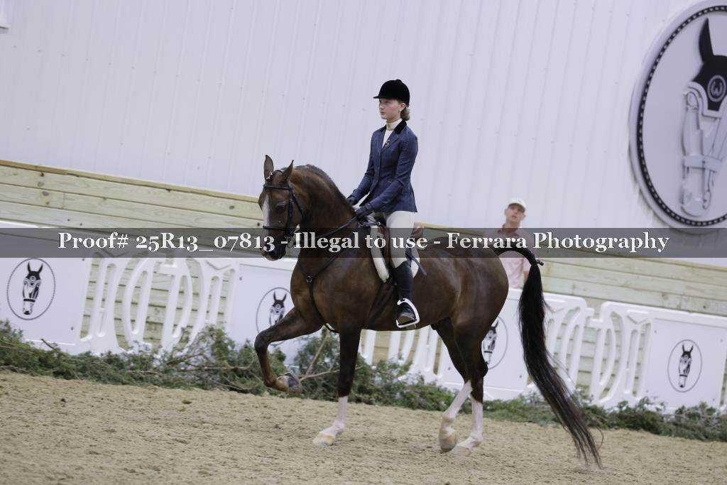 Proof 25R13_07813