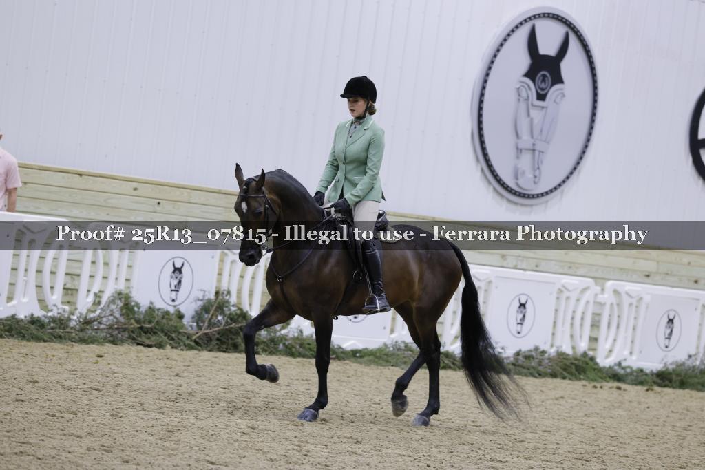 Proof 25R13_07815
