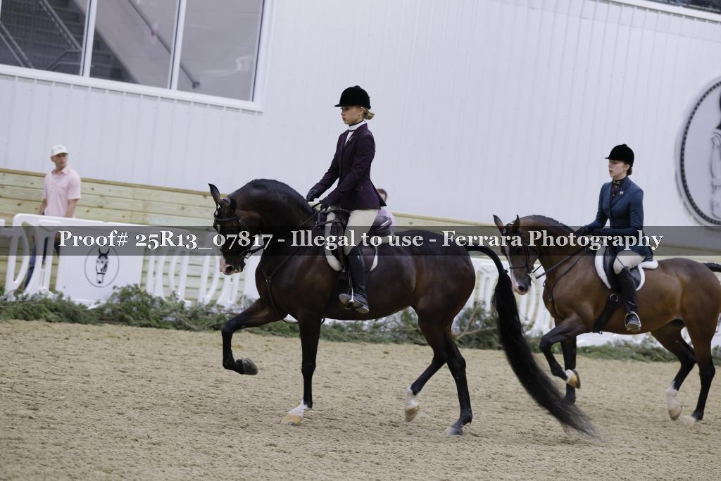 Proof 25R13_07817