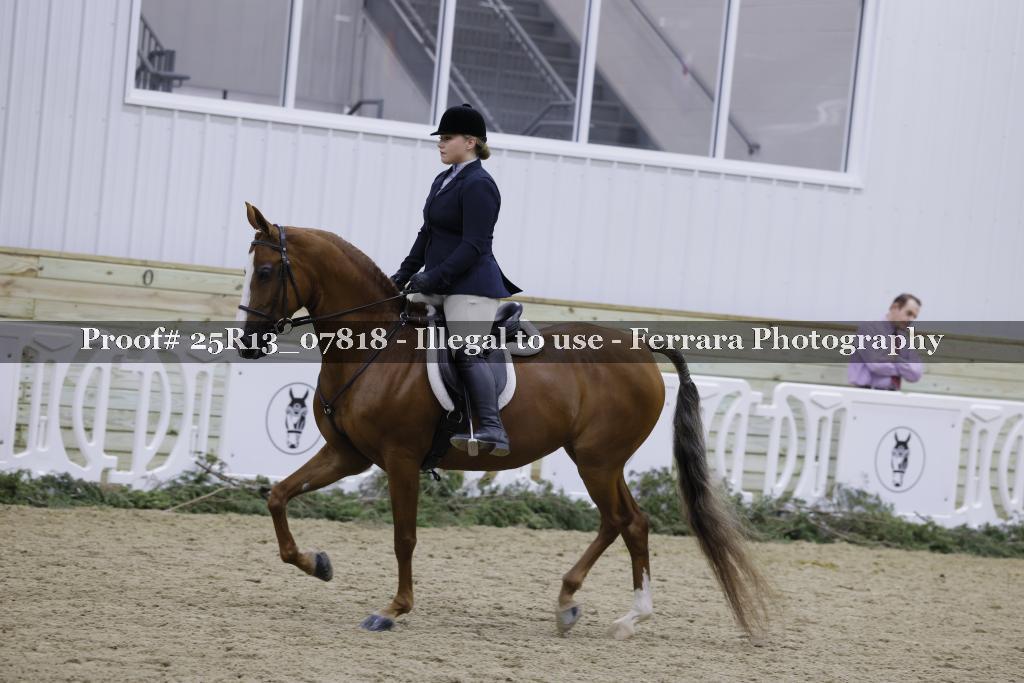 Proof 25R13_07818