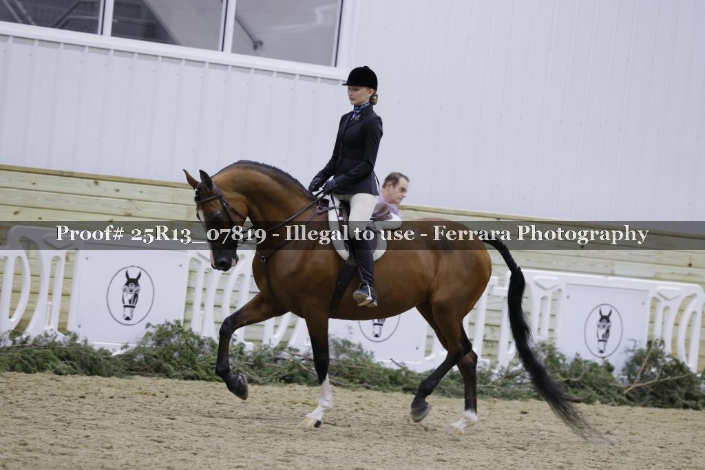 Proof 25R13_07819