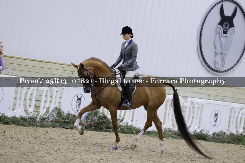 Proof 25R13_07821