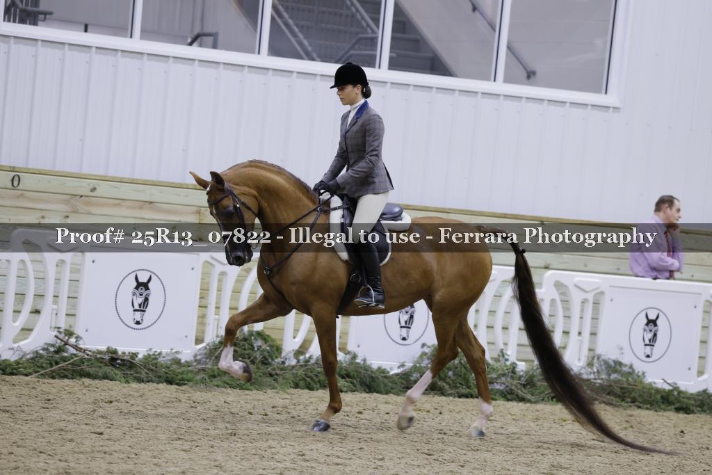 Proof 25R13_07822