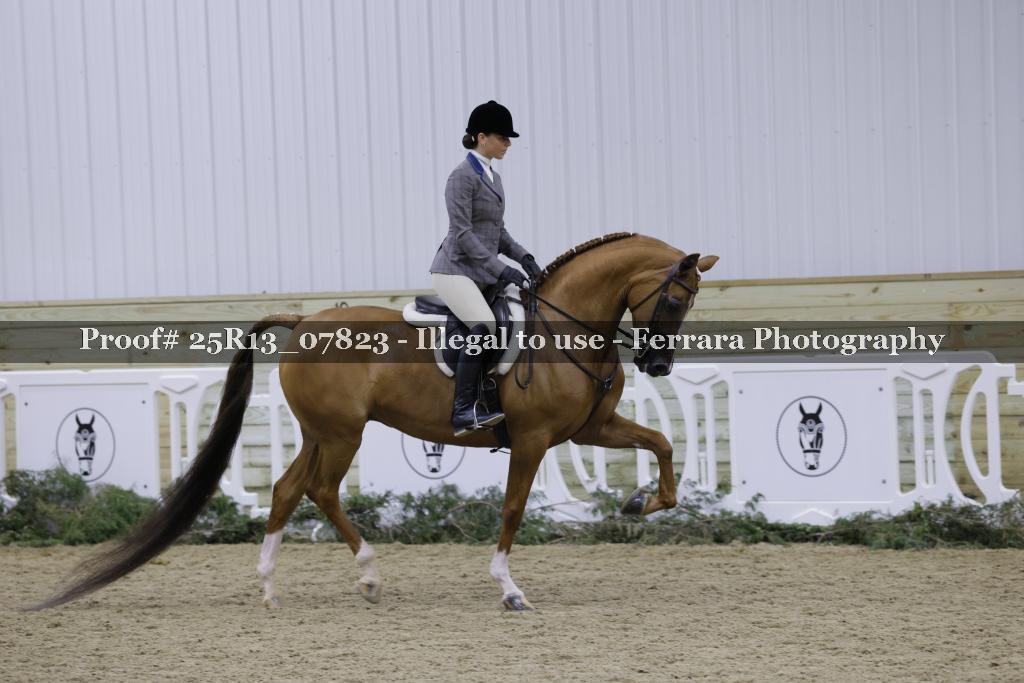 Proof 25R13_07823