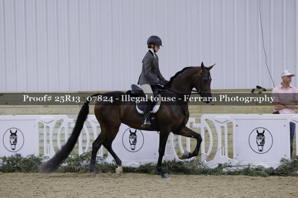 Proof 25R13_07824