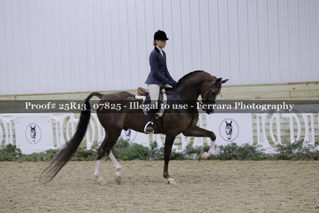 Proof 25R13_07825