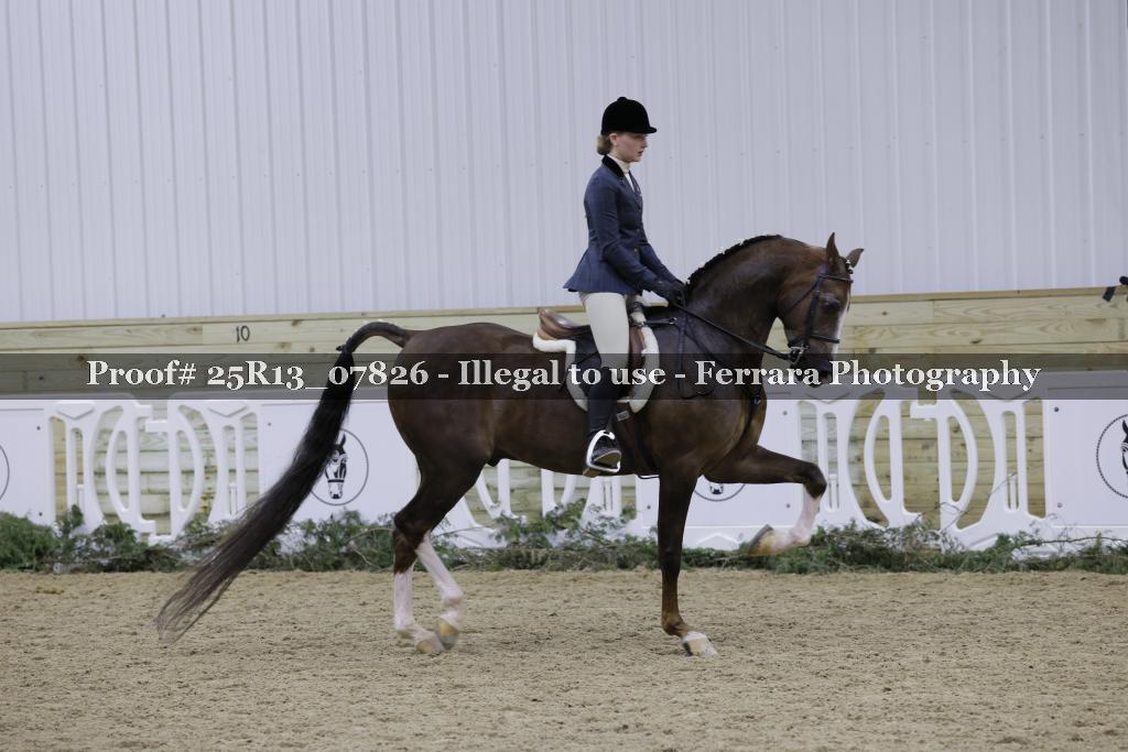 Proof 25R13_07826