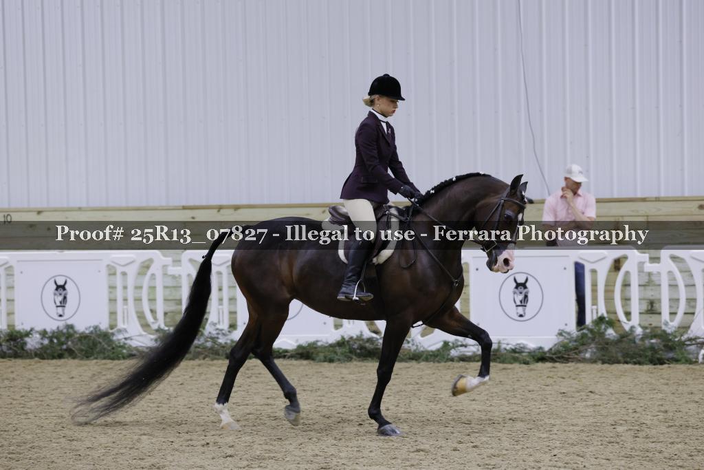 Proof 25R13_07827