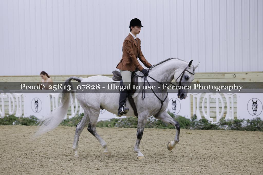 Proof 25R13_07828