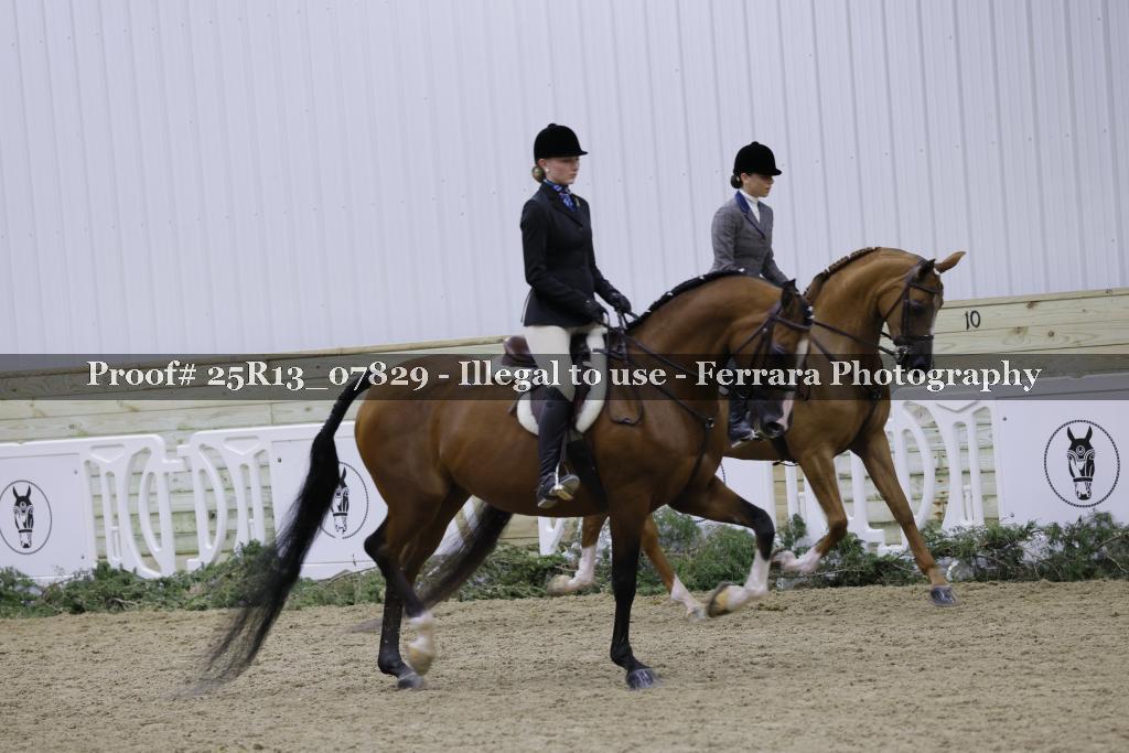 Proof 25R13_07829