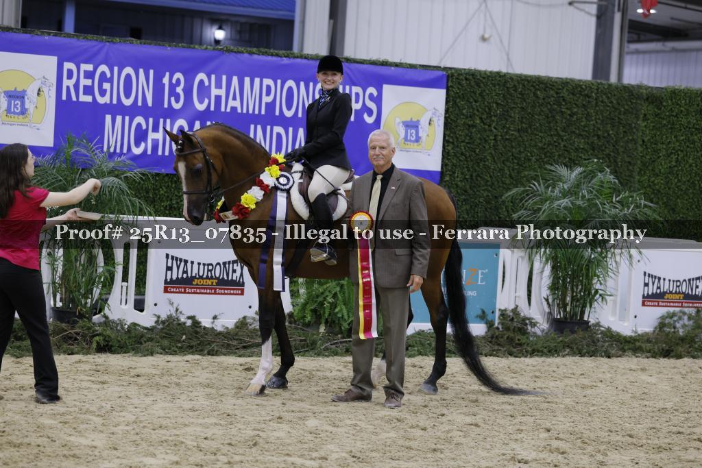 Proof 25R13_07835