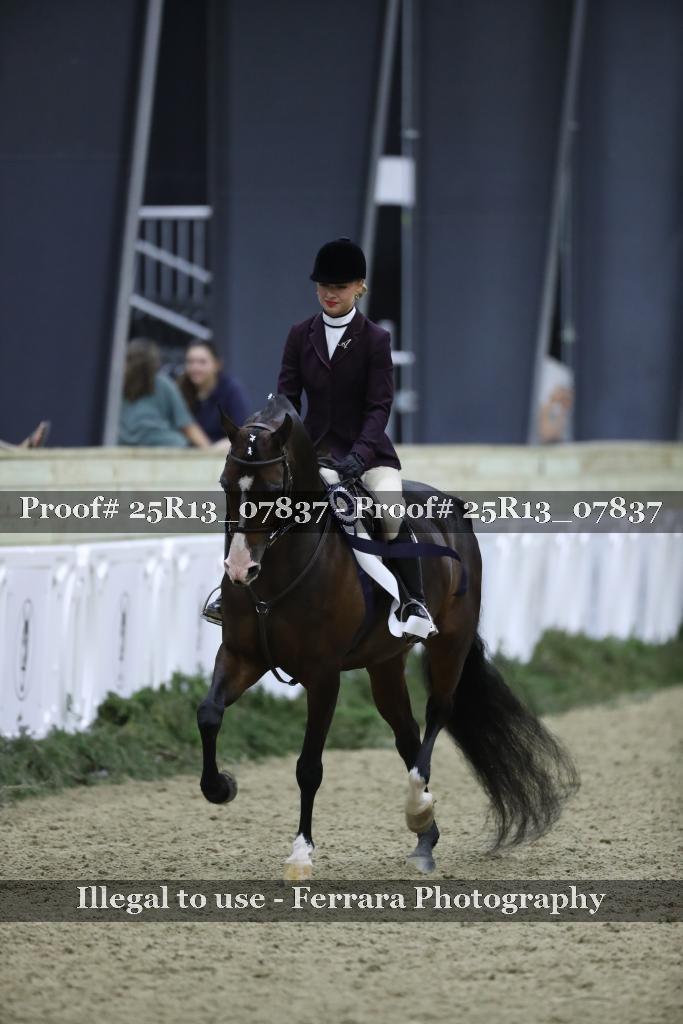Proof 25R13_07837