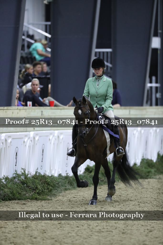 Proof 25R13_07841