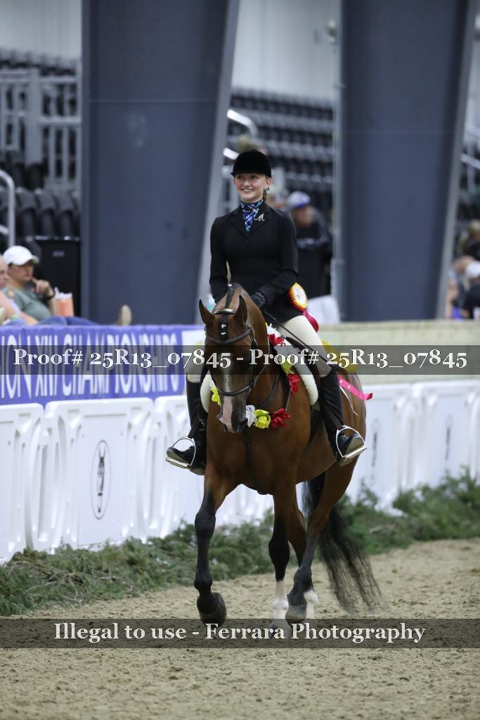 Proof 25R13_07845