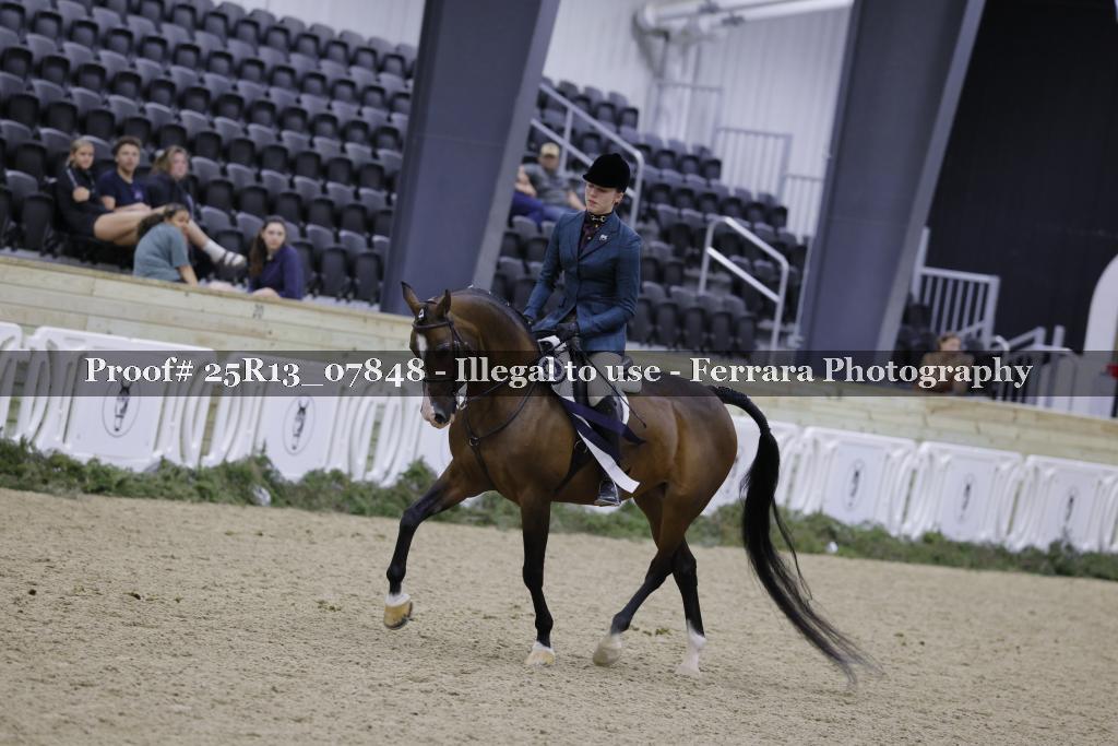 Proof 25R13_07848