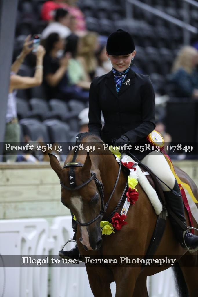 Proof 25R13_07849