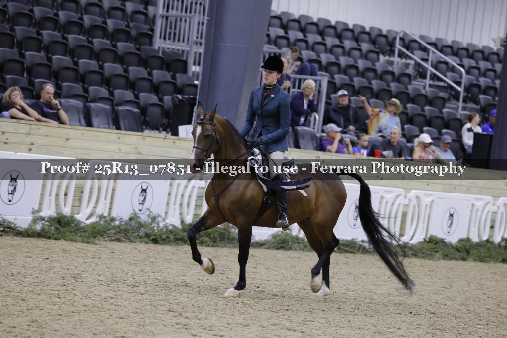 Proof 25R13_07851