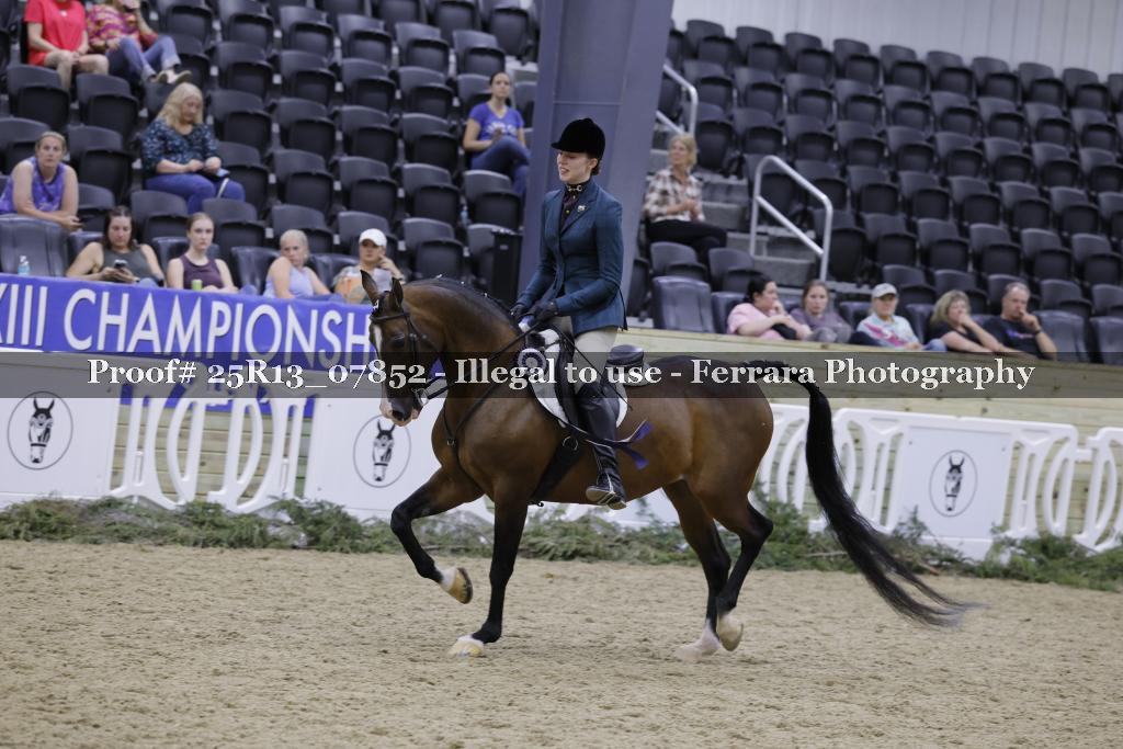 Proof 25R13_07852
