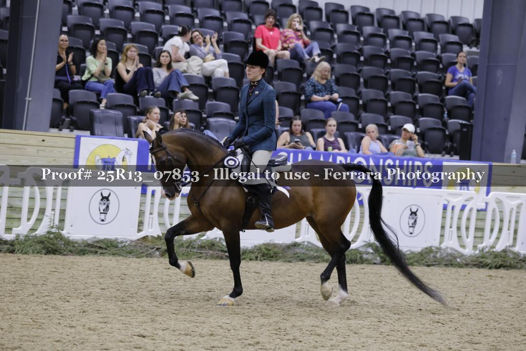Proof 25R13_07853