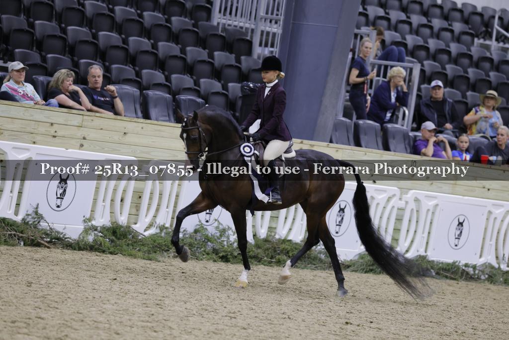 Proof 25R13_07855