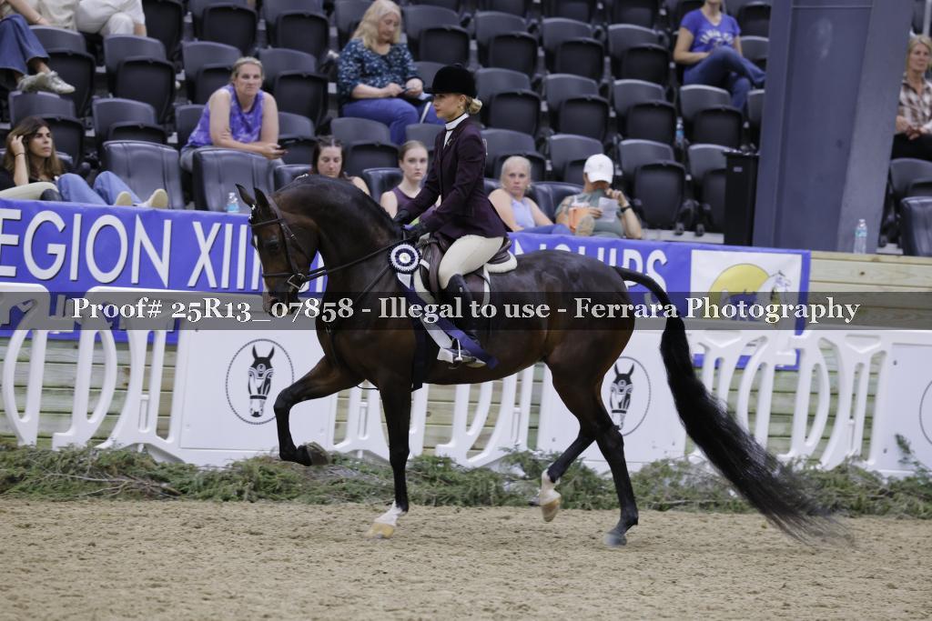 Proof 25R13_07858