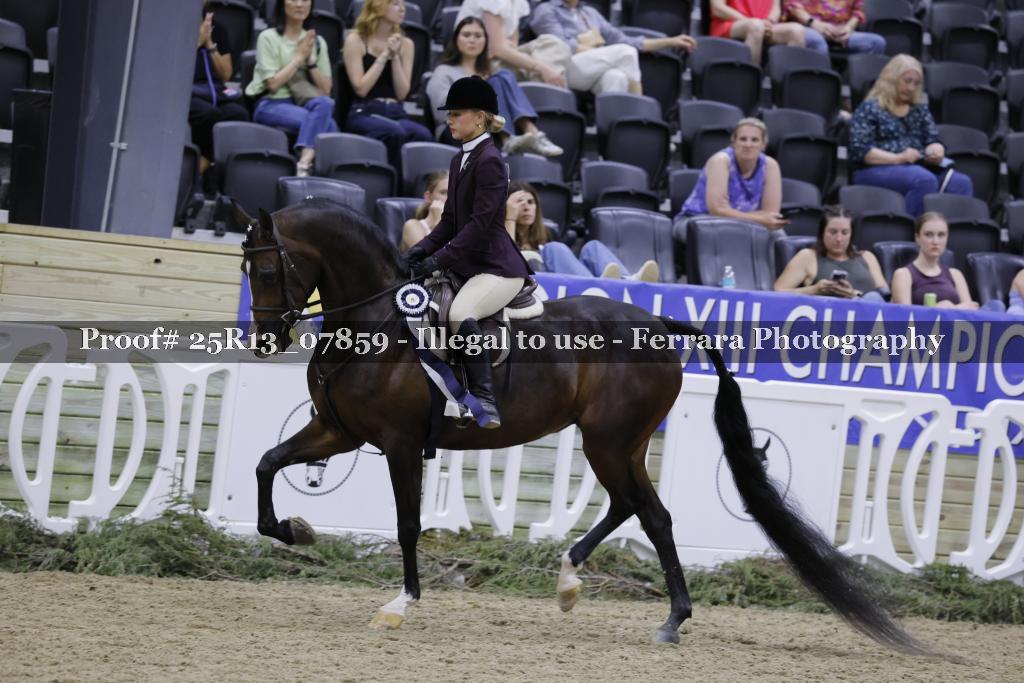 Proof 25R13_07859