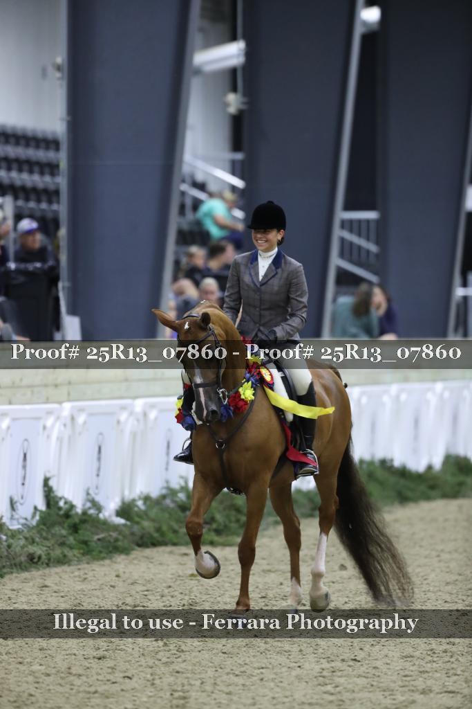 Proof 25R13_07860