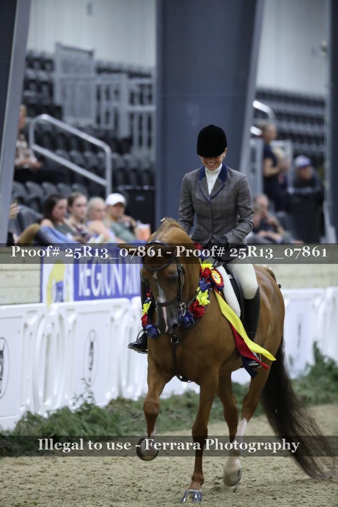 Proof 25R13_07861