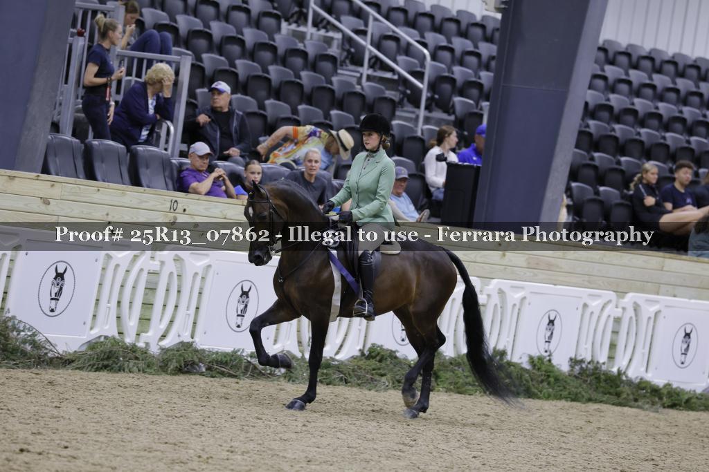 Proof 25R13_07862