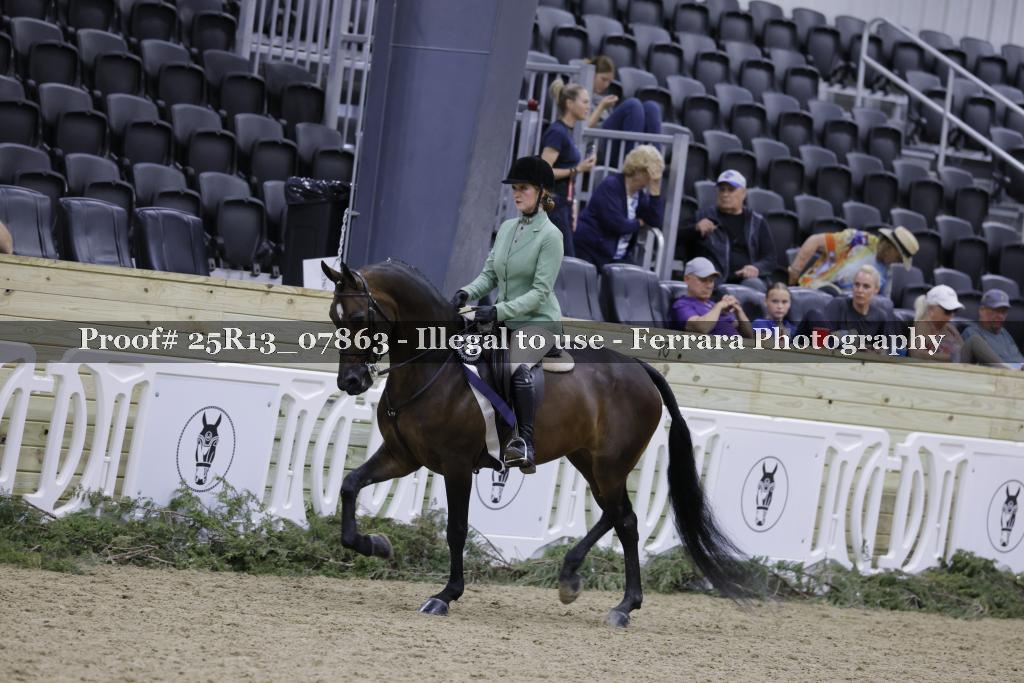 Proof 25R13_07863
