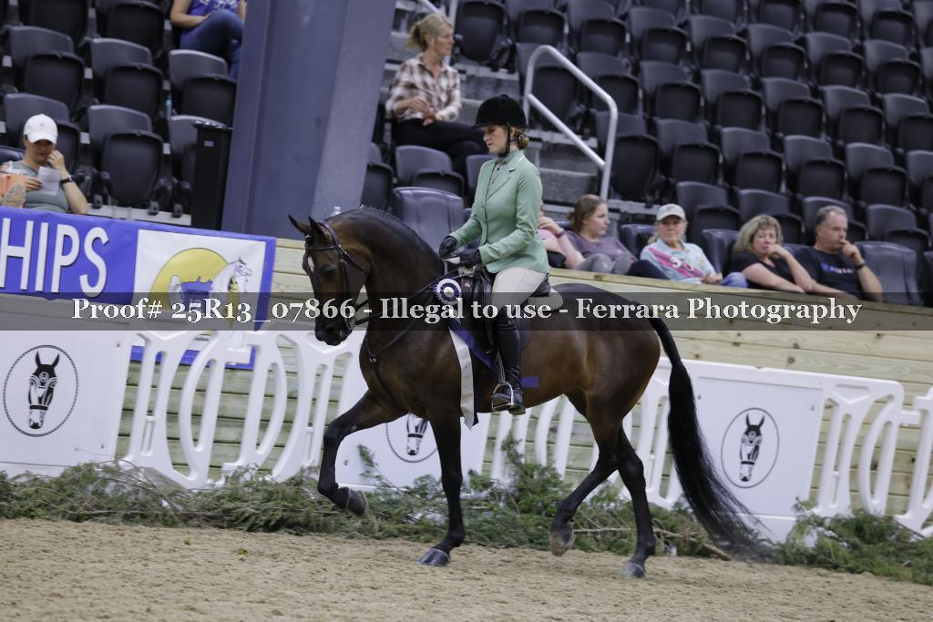 Proof 25R13_07866