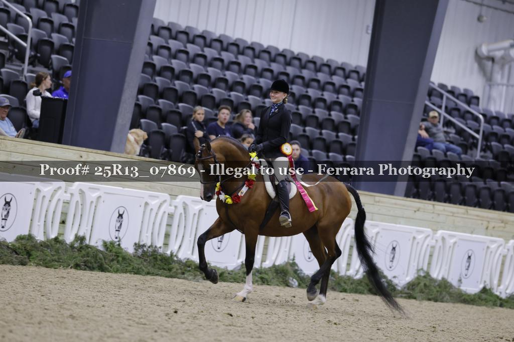 Proof 25R13_07869