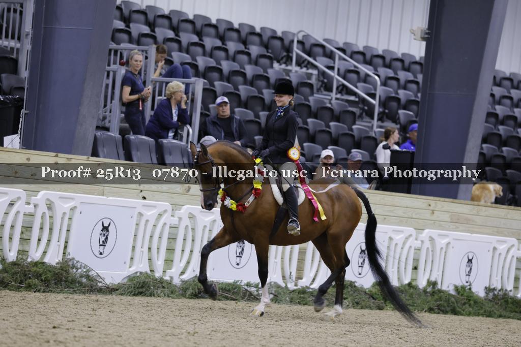 Proof 25R13_07870