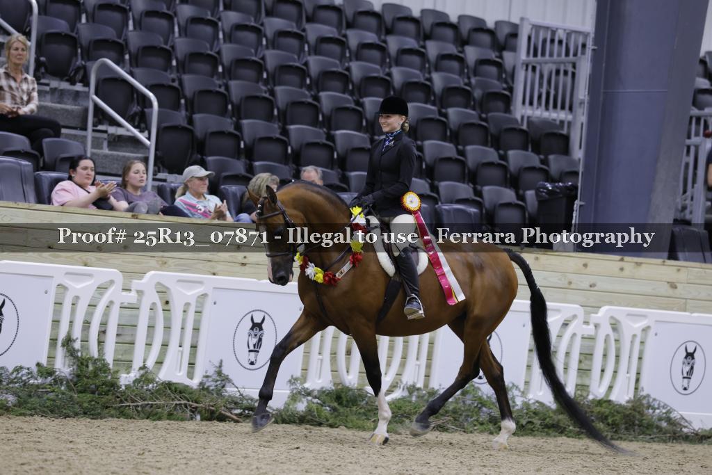Proof 25R13_07871